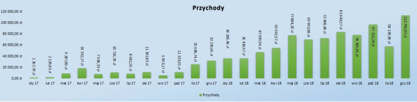 Miesięczne przychody sklepu babyboutik.pl od stycznia 2017 do grudnia 2018 roku (źródło: Google Analytics)
